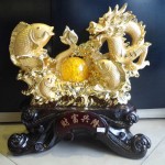 h295 3 150x150 Cá chép vàng rồng vàng cuộn H295G