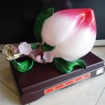 DSC02351 150x150 Đào trắng hồng   phước thọ đào tiên H340G