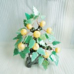 kc010 21 150x150 Cây quất trái ngọc Hoàng long , lá đông linh KC010