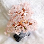 kc021 1 150x150 Cây thạch anh hồng chậu cao KC021